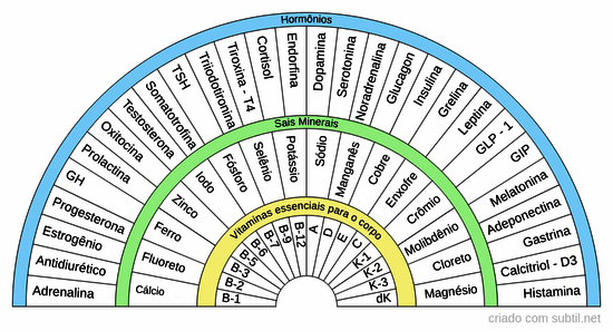 Oligoterapia no corpo humano