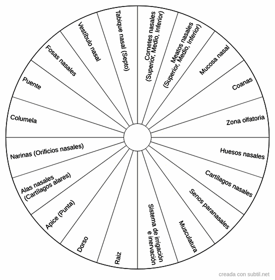 Lista completa de la nariz