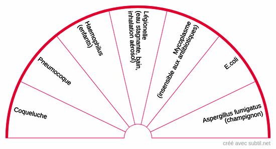 Maladies bactériennes respiratoires