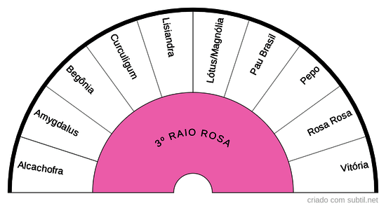 3º RAIO | ROSA