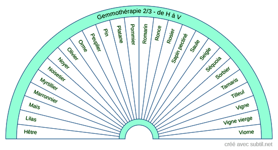 Gemmothérapie 2/3 - de H à V