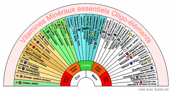 Vitamines minéraux essentiels oligo-éléments