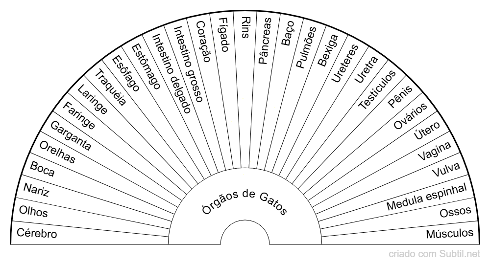 órgãos de gatos