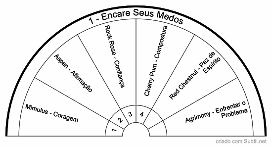 Florais de bach - grupo medos