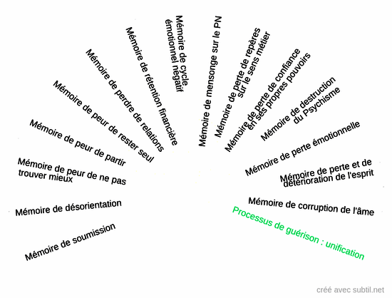 Mémoires cellulaire - Relations toxique / pervers narcissiques 2