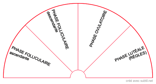 Cycle ovarien/menstruel