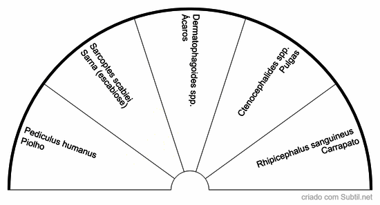 Ectoparasitas (externos)