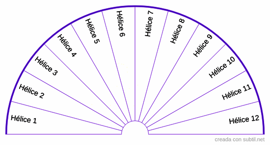 ADN - nº hélices