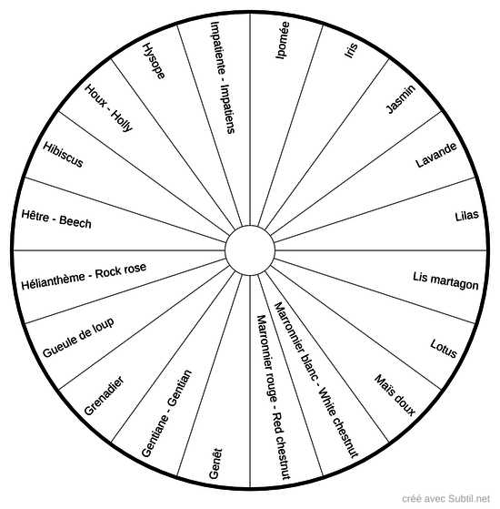 Elixirs Floraux DEVA 4