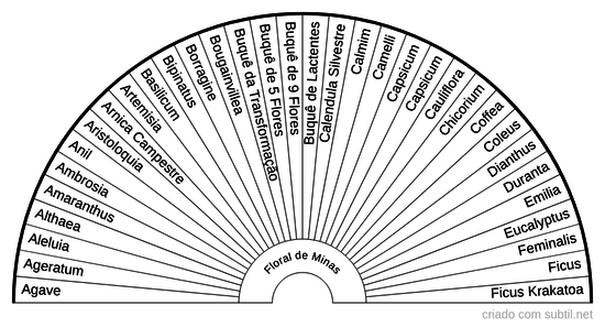 Floral de Minas