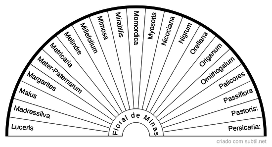 Floral de Minas