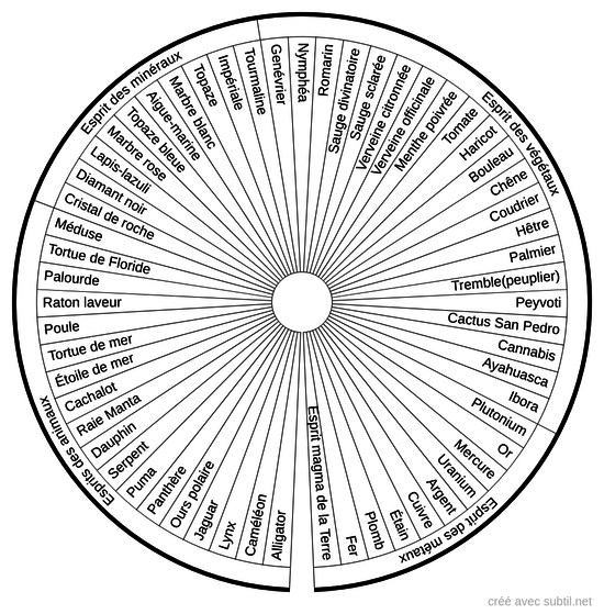 Esprits animaux / végétaux / minéraux