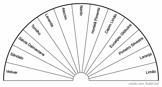 Sistema dos 13 aromas 