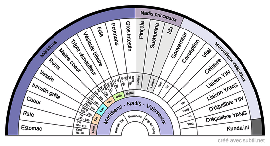 Méridiens - nadis - vaisseaux