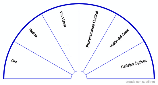 Sistema visual