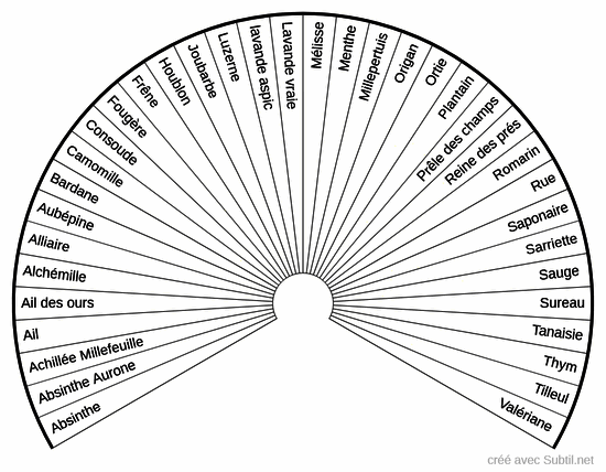 Plantes médicinales