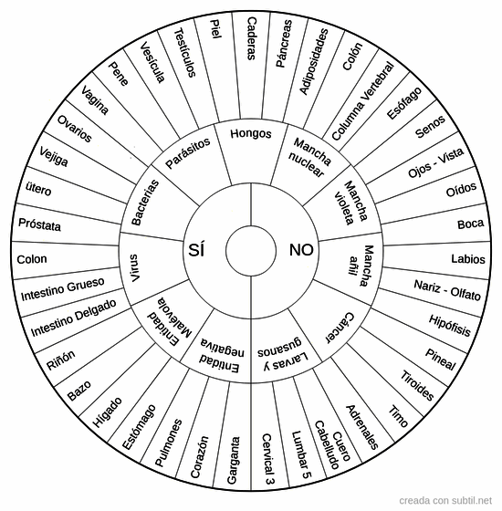 órganos y glándulas