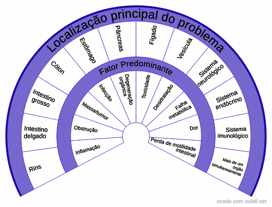 Possíveis patologias em gatos