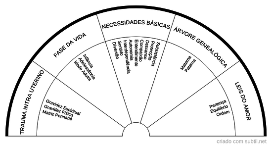 Trauma Intra Uterino + Programa de Necessidades Básicas + Desequilibrio Sistémico