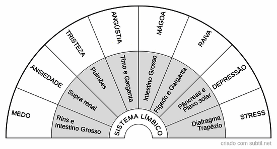 Emoções x pontos reflexos