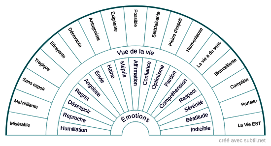 Émotions et vue de la vie