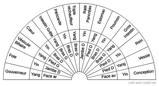 Méridiens du Corps Humain