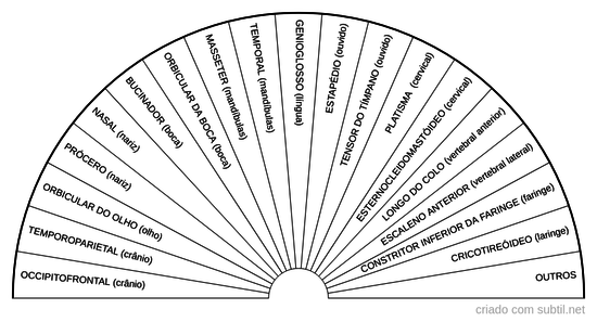 Músculos Cabeça e Pescoço 