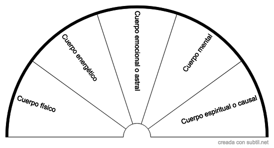 Anatomía sútil