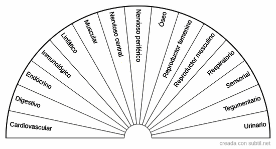 Sistemas del cuerpo humano