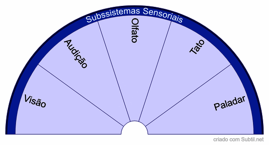 Subssistemas sensoriais