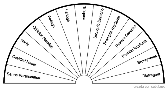 Aparato Respiratorio