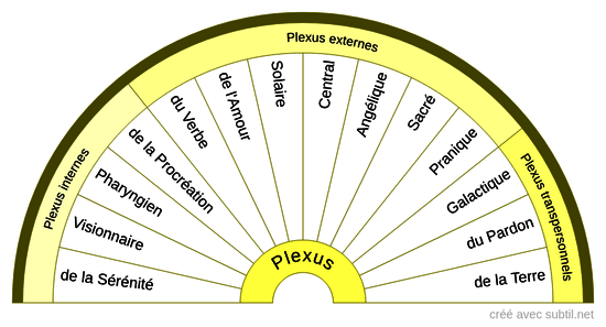 Plexus