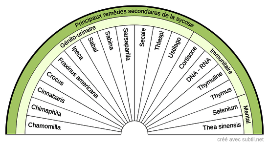 Diathèses homéopathiques - 6 B (Sycose)