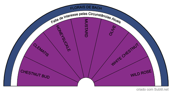 Florais de bach - falta interesse circunstâncias atuais