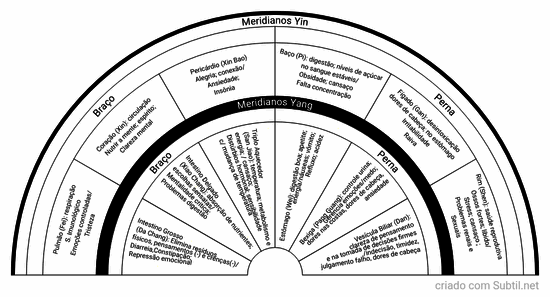 Meridianos principais