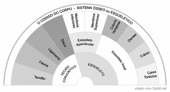 Código do corpo - sistema Ósseo ou esquelético