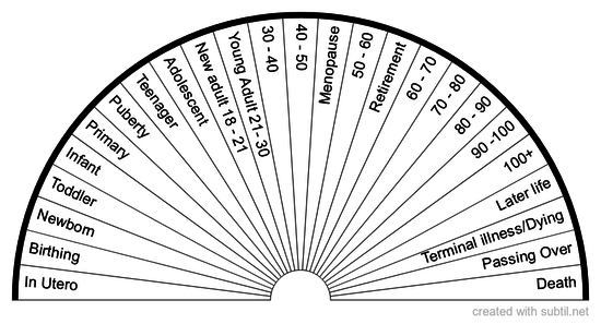 Life Stage