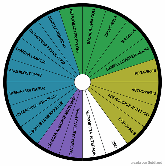 Parásitos, bacterias, virus y hongos intestinales