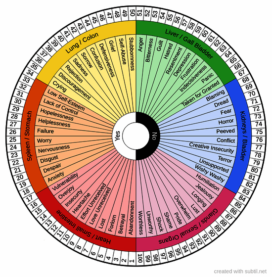 Emotion code