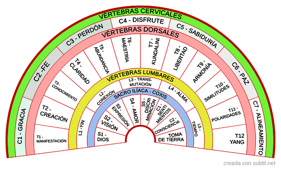 Chakras columna vertebral