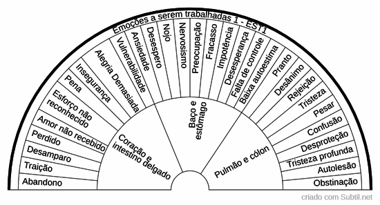 Emoções a serem trabalhadas 1