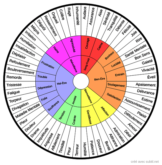 Roue des Émotions