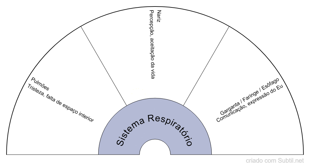 Sistema respiratório