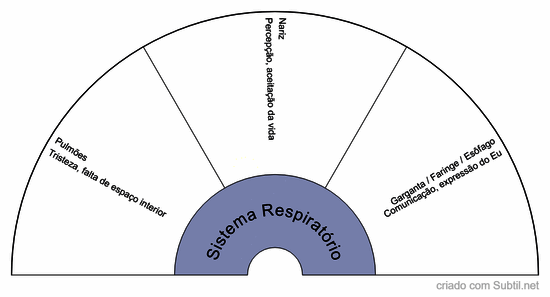 Sistema respiratório