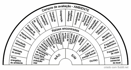 Campo do local - geobiologia + vibração do ambiente