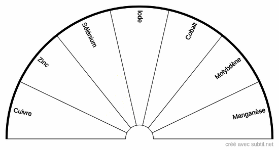 Ruminant - Oligo-éléments