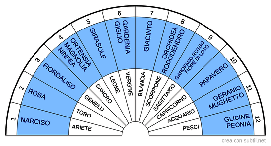 Fiori dei Segni