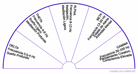 Frecuencias cerebrales