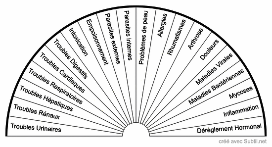 Pathologies du chien