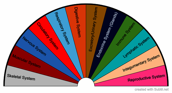 12 main components of the human body